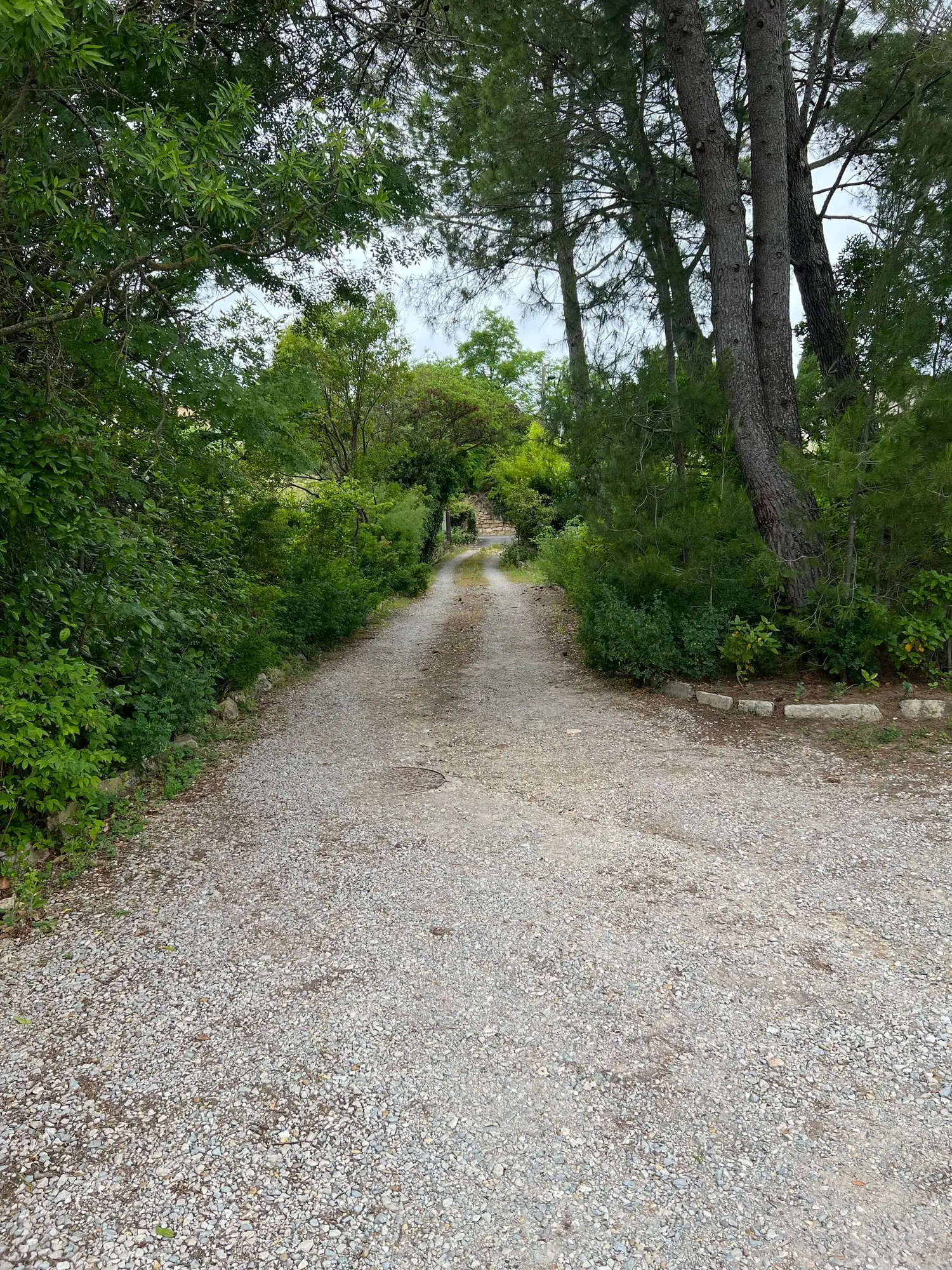 Allée du mas avant travaux, sol dégradé et végétation empiétant sur le passage