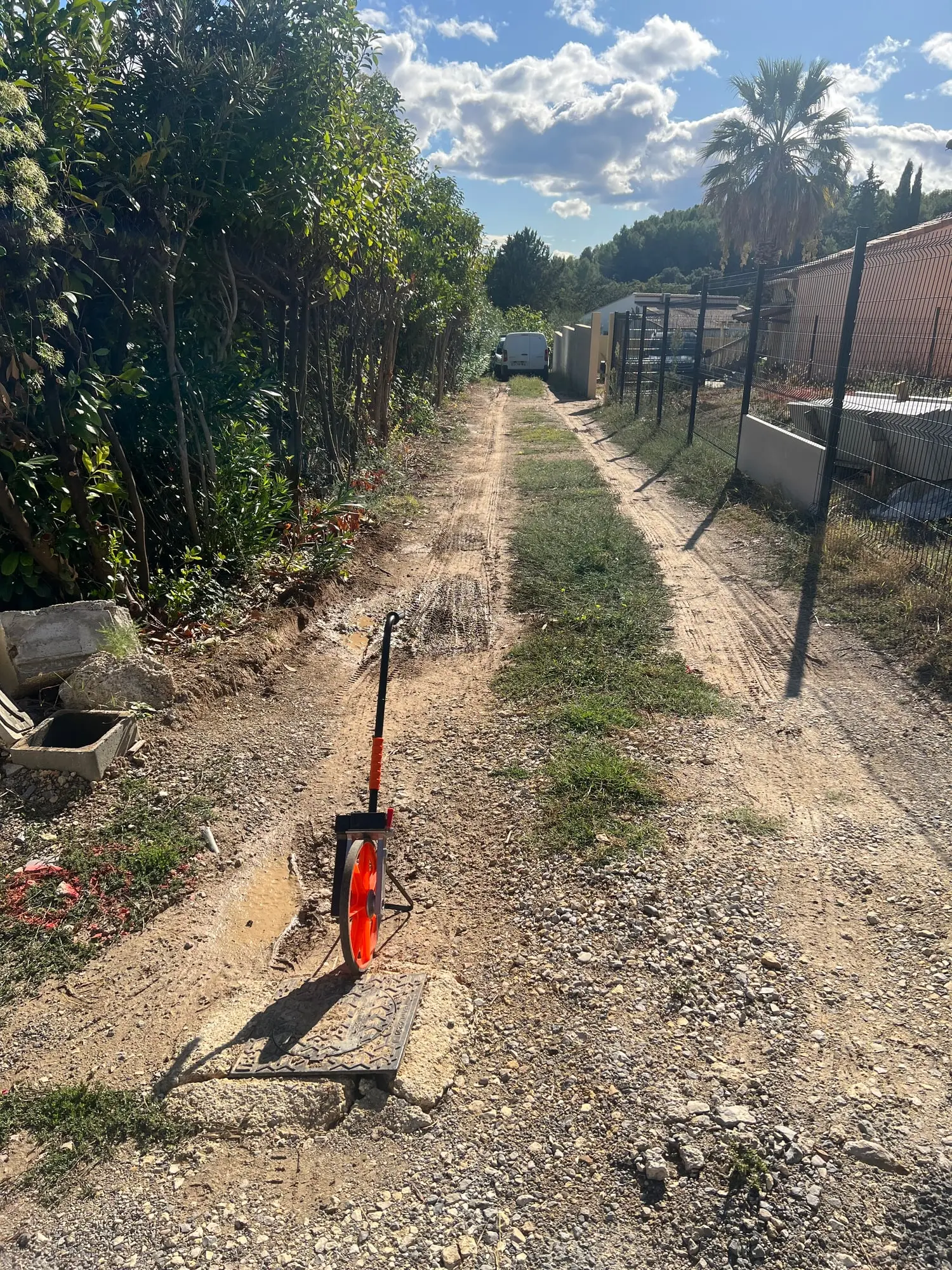 Chemin d’accès en friche avant intervention, bordé de végétation