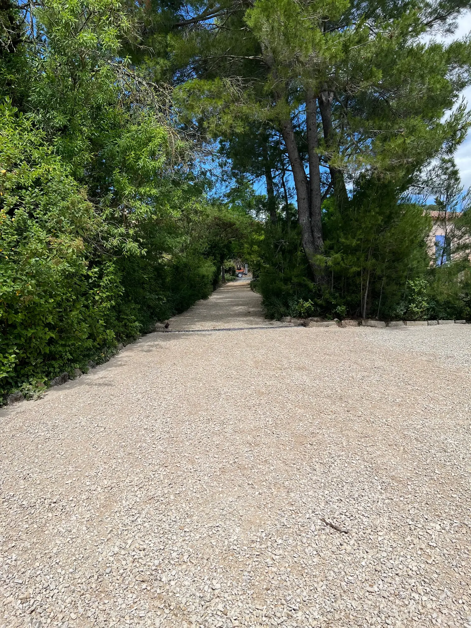 Allée en gravier sous les arbres après remise en état complète
